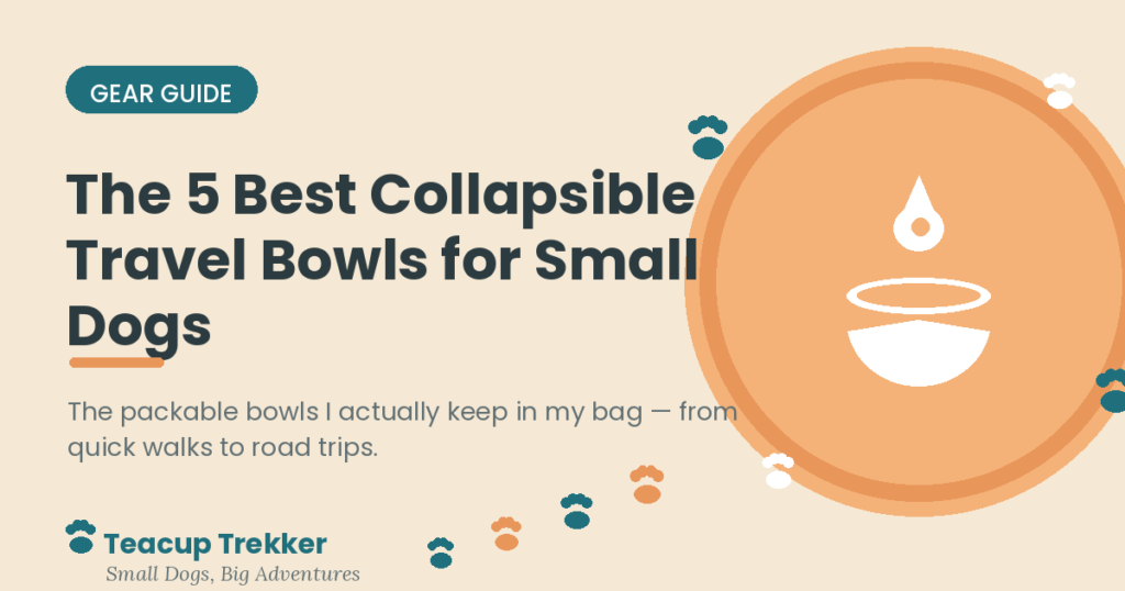 The 5 best collapsible travel bowls for small dogs — Teacup Trekker gear guide